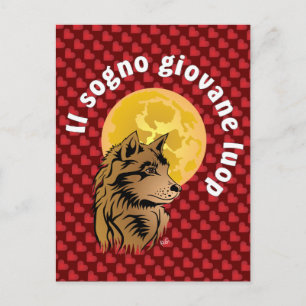 junger träumender Wolf Postkarte