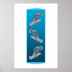 Junger Zackenbarsch - Design Farbverlauf blauer Hi Poster