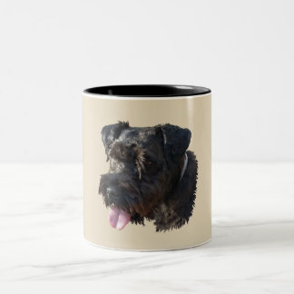 Jüngeres der Schnauzer Zweifarbige Tasse