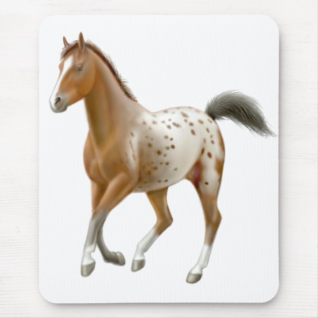 Junges Appaloosa-Pferd Mousepad (Vorne)