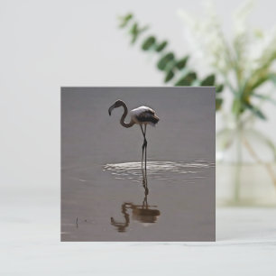 Junges Flamingo in Grau mit Reflektion Feiertagskarte