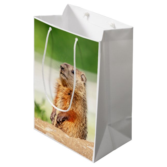 Junges Groundhog Mittlere Geschenktüte (Vorderseite Schrägansicht)