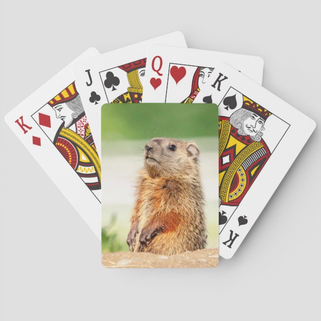 Junges Groundhog Spielkarten (Rückseite)