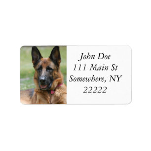 Junges GSD Adressaufkleber