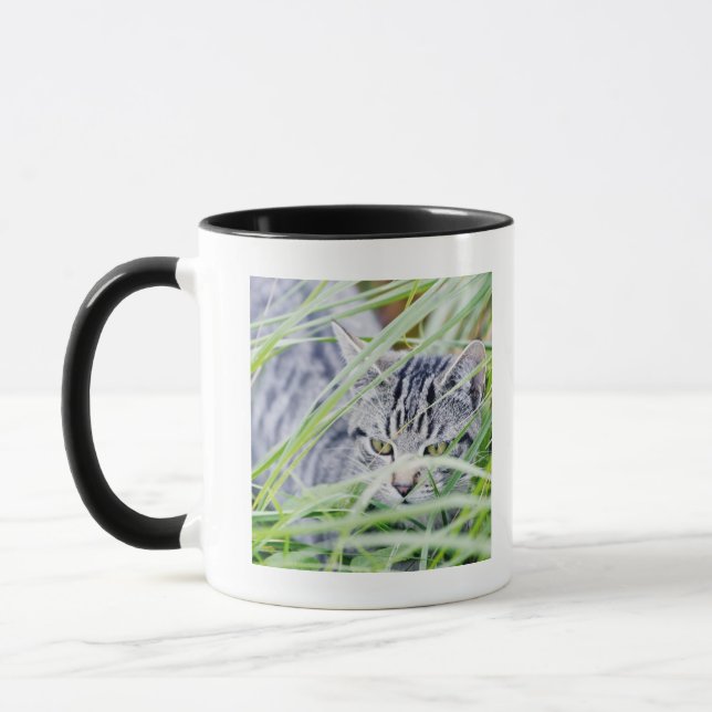 junges Katzenporträt Tasse (Links)