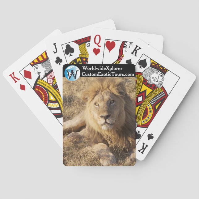 Junges Löwen Kartenspiel Spielkarten (Rückseite)
