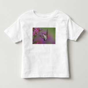 Junges männliches Rubinkehlkolibri Kleinkind T-shirt