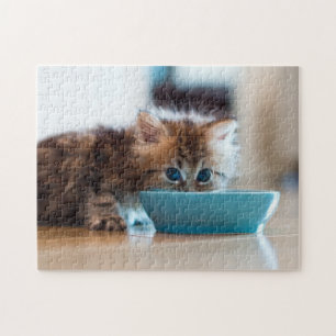 Junges persisches Kätzchen Puzzle