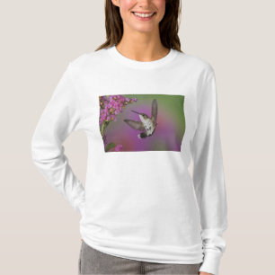 Junges Rotkehlkolibri-Männchen T-Shirt