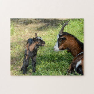 Junges Ziegenlamm Puzzle