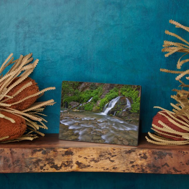 Jungfrau Big Springs | Zion National Park Fotoplatte (Seite)