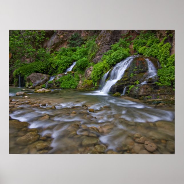 Jungfrau Big Springs | Zion National Park Poster (Vorne)