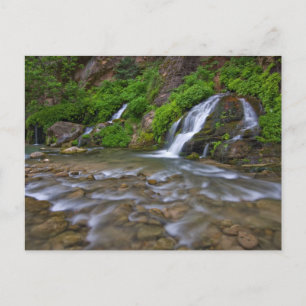 Jungfrau Big Springs   Zion National Park Postkarte