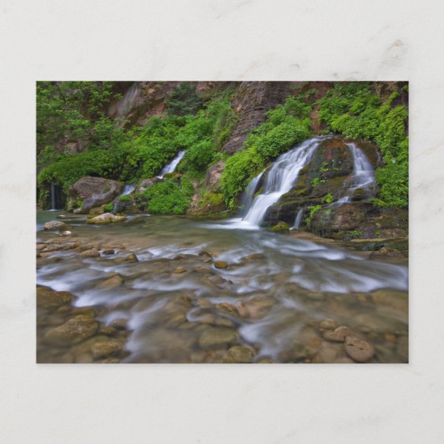 Jungfrau Big Springs | Zion National Park Postkarte (Vorderseite)