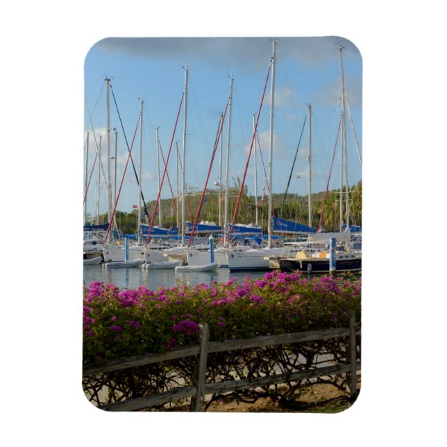 Jungfrau Gorda Yacht Hafen Magnet (Vertikal)