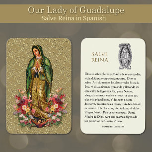 Jungfrau Mary Salve Reina Spanisches Gebet Heilige