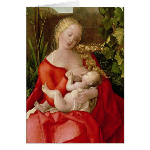 Jungfrau und Kind "Madonna mit der Iris", 1508