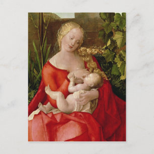 Jungfrau und Kind "Madonna mit der Iris", 1508 Postkarte