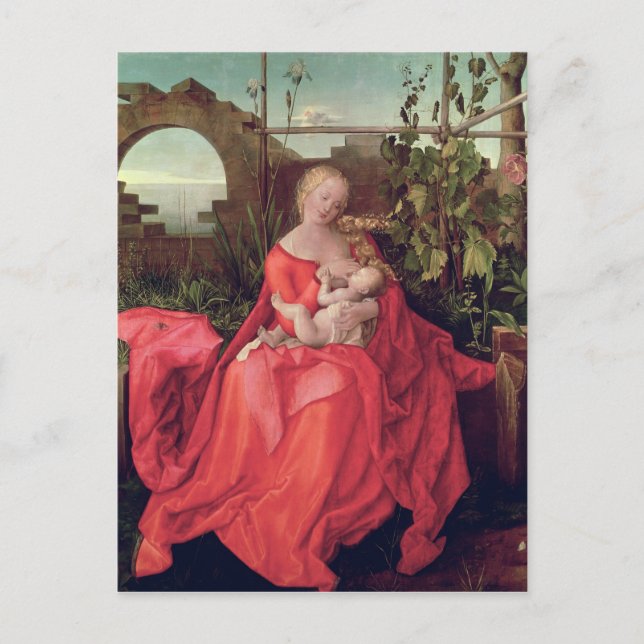 Jungfrau und Kind "Madonna mit der Iris", 1508 Postkarte (Vorderseite)