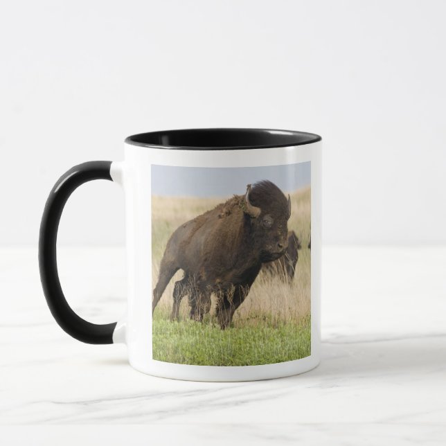 Junggebliebene im Tallgrass Tasse (Links)