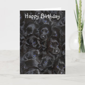 Junggeburt, Happy Birthday. Karte