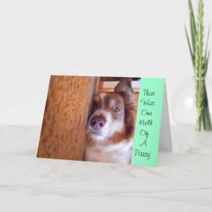 Junggesellinnen Danke