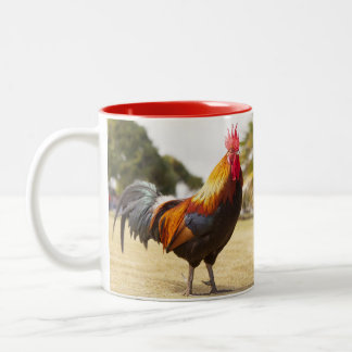 Junghennen Zweifarbige Tasse