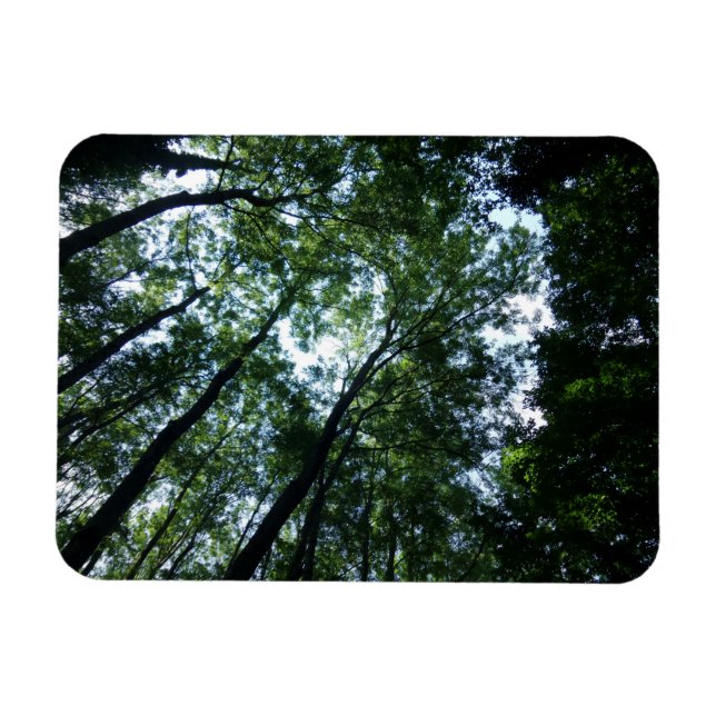 Jungle 3"x4" Magnet (Horizontal)
