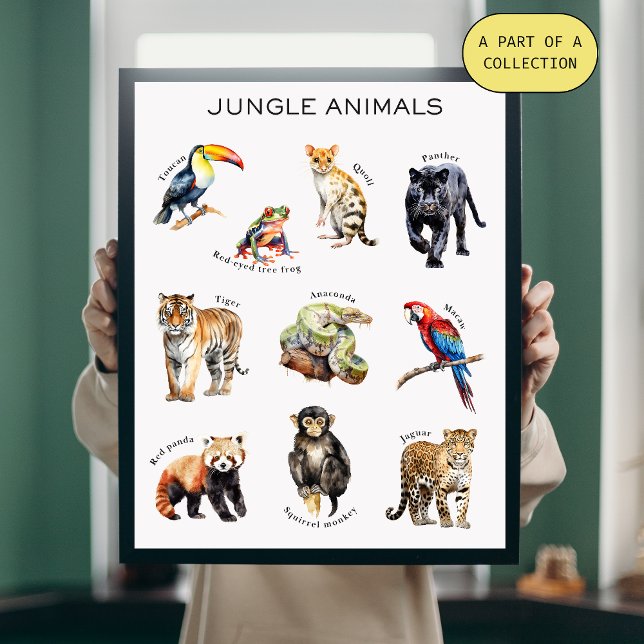 Jungle Animals Educational Poster (Von Creator hochgeladen)