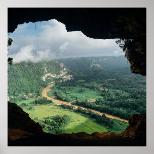 Jungle-Fenster Poster