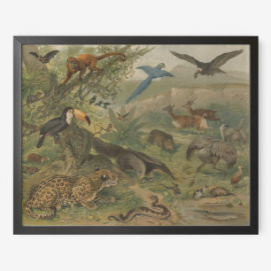 Jungle Jaguar und Tierfreunde Poster