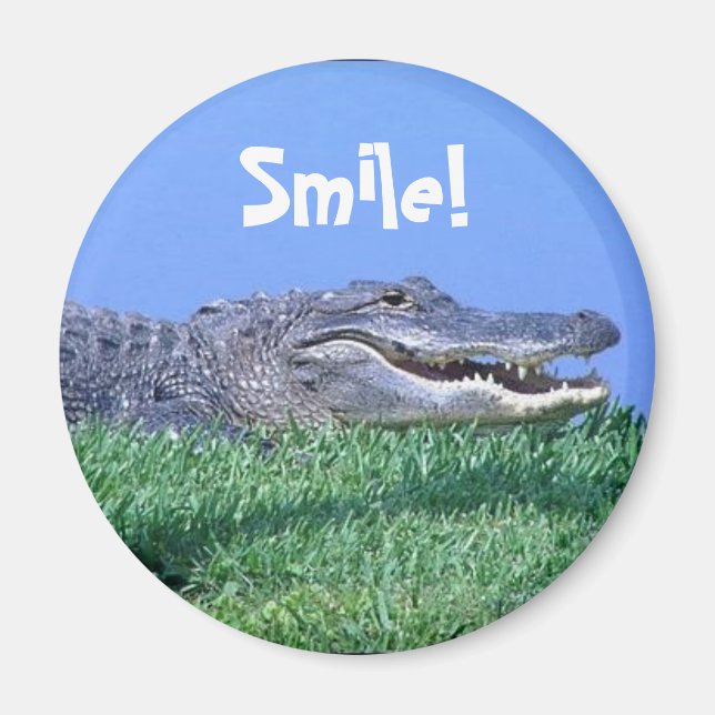 Jungle Jewels Magnet (Vorne)