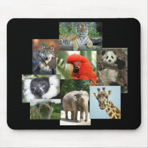 Jungle Jewels Mousepad