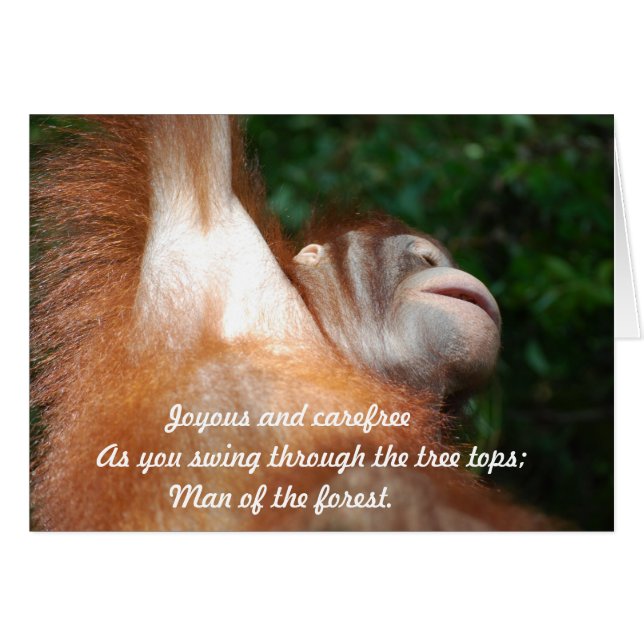 Jungle Joy - Orangutan Tribute Wildlife Haiku (Vorderseite (Horizontal))