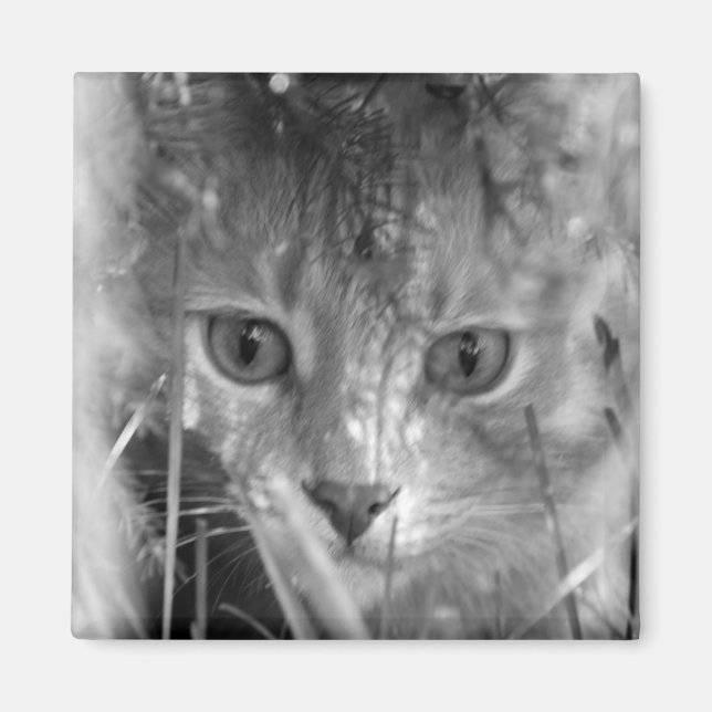 Jungle Legend B&W Magnet (Vorne)