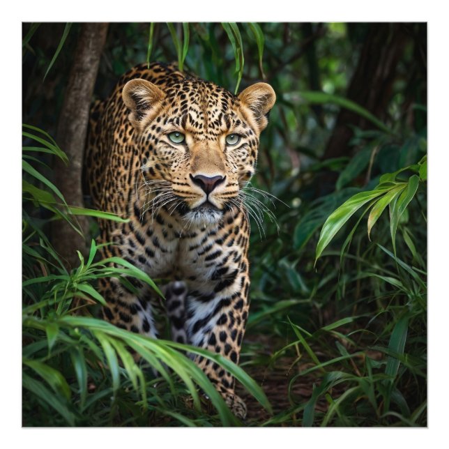 Jungle Leopard Fotodruck (Vorne)