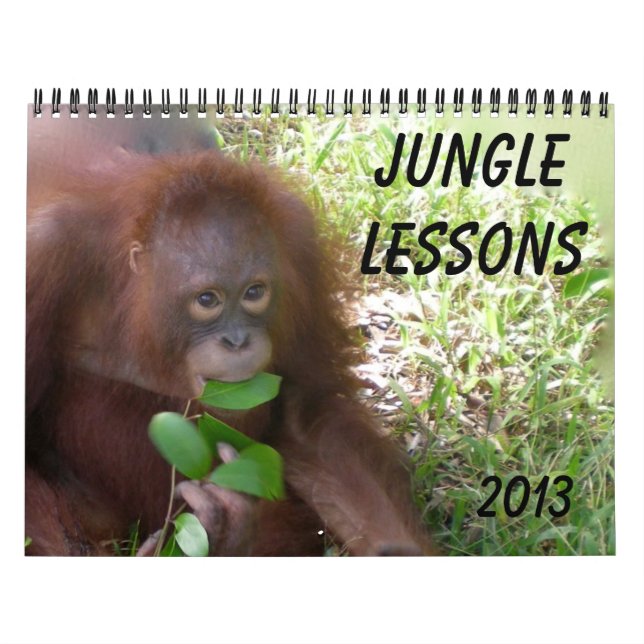 Jungle Lessons Wildlife Orangutans Kalender (Titelbild)