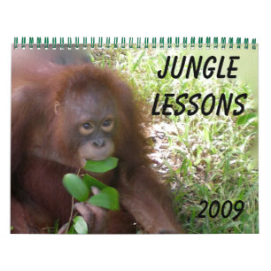 Jungle Lessons Wildtierkalender Kalender