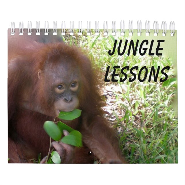 Jungle Lessons Wildtierkalender Kalender (Titelbild)