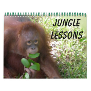Jungle Lessons Wildtierkalender Kalender