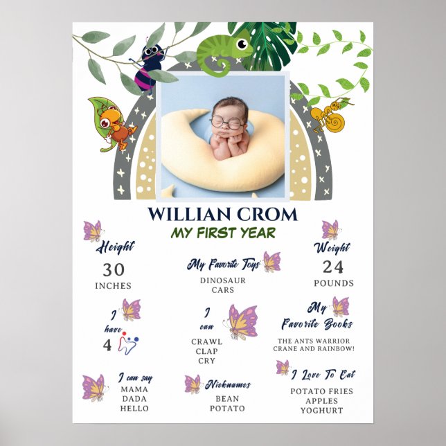 Jungle Over the Rainbow 1. Year Meilenstein Poster (Vorne)