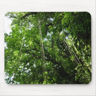 Jungle Ropes Rainforest Fotografie Mousepad