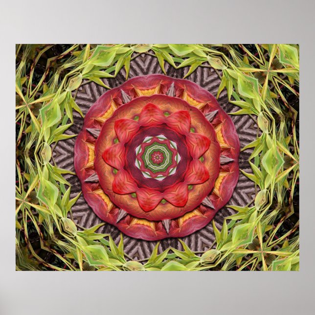 Jungle Shield Poster (Vorne)