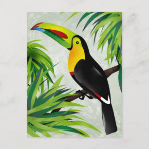 Jungle Toucan Postkarte