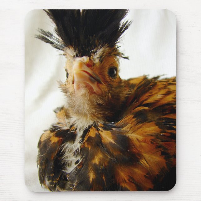 Jungpolnisch Mousepad (Vorne)