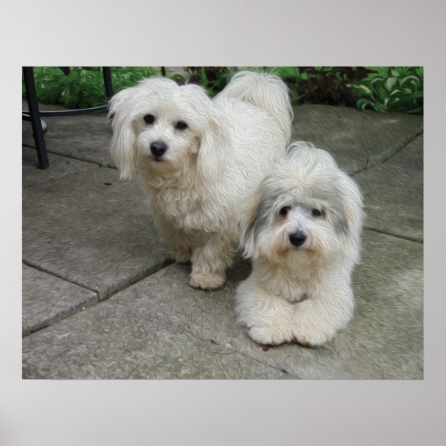 Jungtiere aus Öl Poster (Vorne)