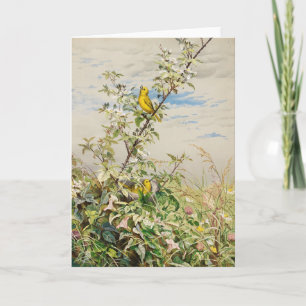 Juni   Fidelia Bridges Karte