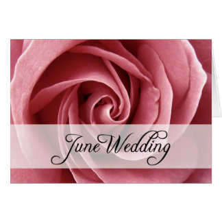 Juni Hochzeit : Rose der Saison: