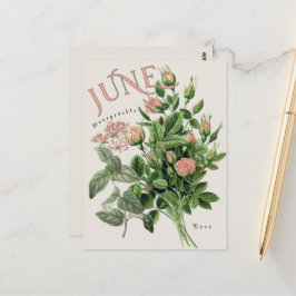 Juni-Monatsblumen Geißblatt Rose Beige Postkarte