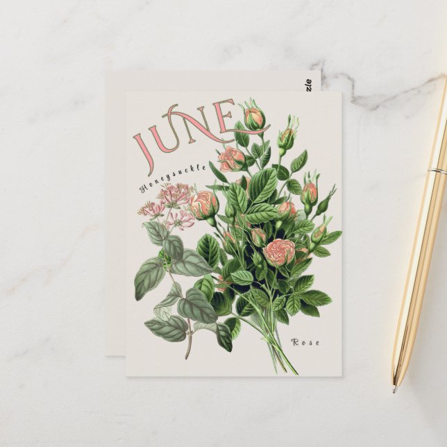 Juni-Monatsblumen Geißblatt Rose Beige Postkarte (Vorderseite/Rückseite Beispiel)